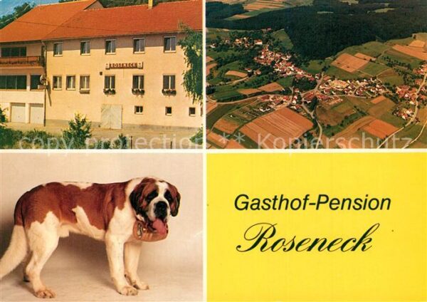 Beeghof Gasthof Pension Roseneck Bernhardiner F