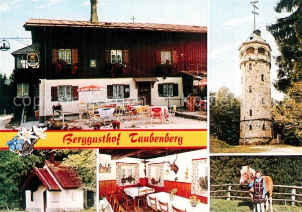 Weyarn Berggasthof Taubenberg Pferd Aussichtst