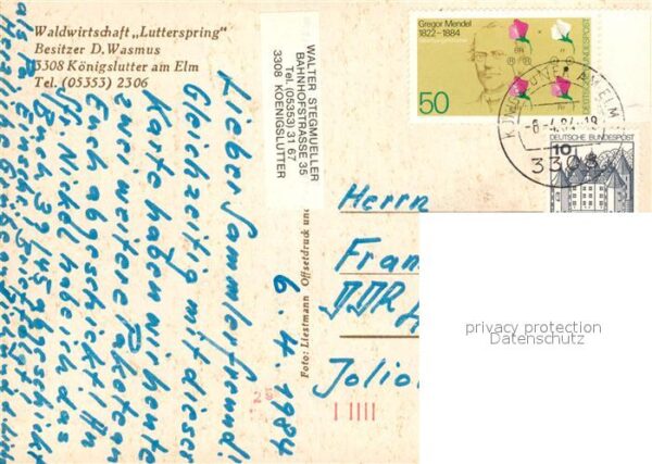 K?nigslutter Elm Waldwirtschaft Lutterspring – Bild 2