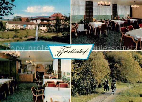 Doerentrup Pension Cafe Forellenhof und Gästehaus