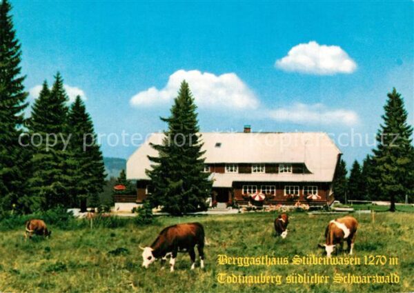 Todtnauberg Berggasthaus Stübenwasen