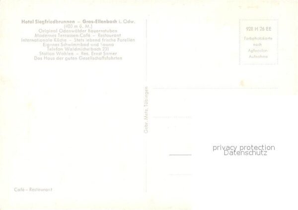 Gras-Ellenbach Hotel Siegfriedbrunnen – Bild 2
