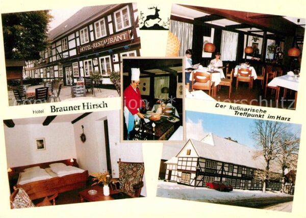 Bad Harzburg Hotel Brauner Hirsch Restaurant Zimmer
