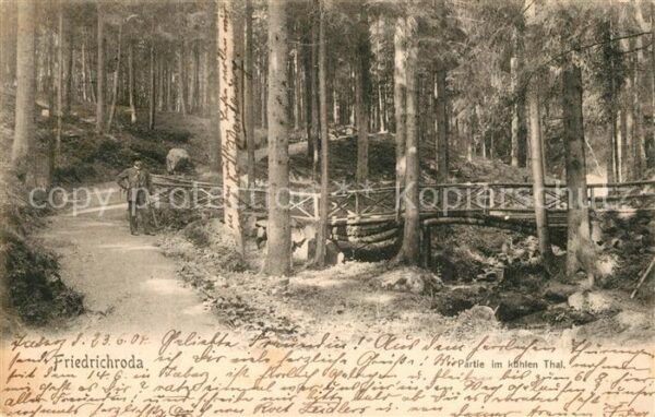 Friedrichroda Partie im kühlen Tal