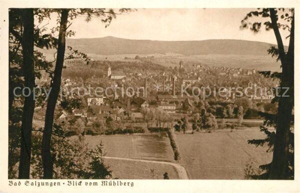 Bad Salzungen Panorama Blick vom Mühlberg