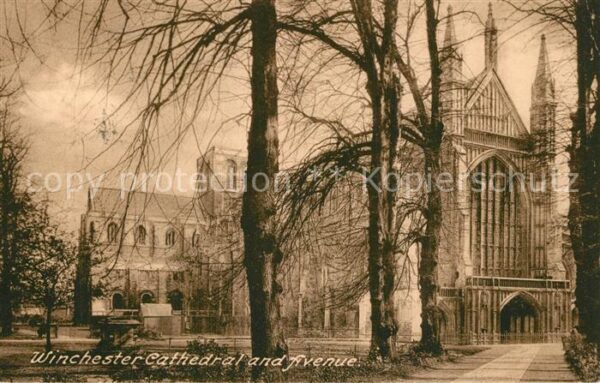 Winchester Cathedral and Avenue