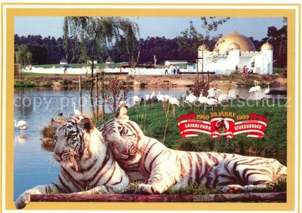 Stukenbrock 20 Jahre Hollywoodpark Safariland Tiger