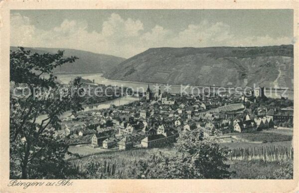 Bingen Rhein Panorama