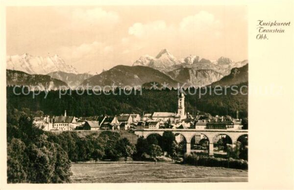 Traunstein Oberbayern Panorama