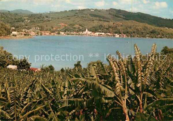 Martinique View on the harbour and banana plantati