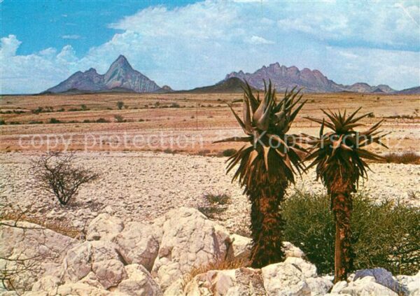 Suedafrika Spitzkoppe