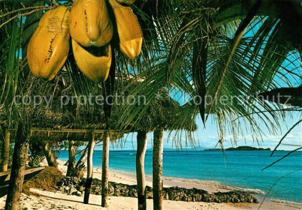 Mombasa and Malindi