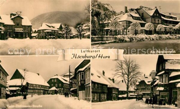 Ilsenburg Harz Markt Ernst Thälmann Strasse Forellente