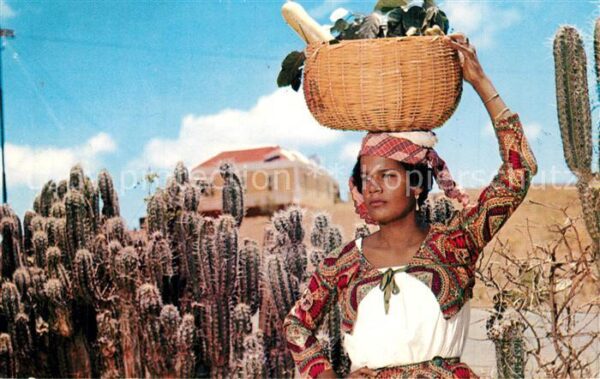 Curacao Niederlaendische Antillen Native Fruit Girl