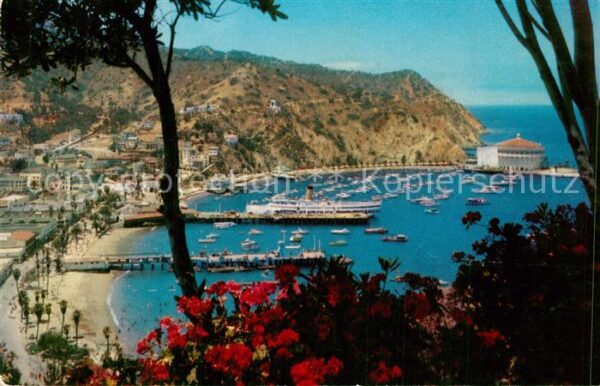 Santa Catalina Island Panorama port and town of Avalon