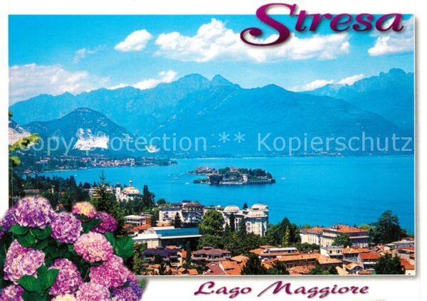 Stresa Lago Maggiore Panorama Alpen Blumen Insel