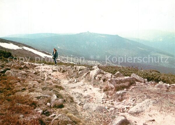 Karkonosze Zbocze Labskiego Szczytu