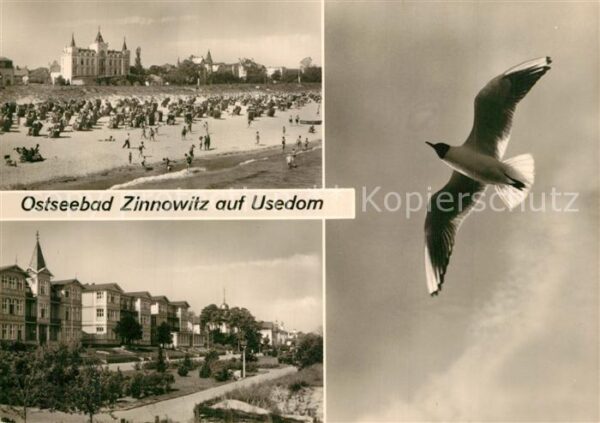 Zinnowitz Ostseebad Badestrand Strandpromenade Hotels Möwe