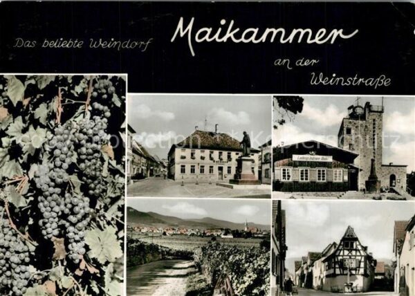 Maikammer Rathaus Ludwigshafener Hütte Panorama D