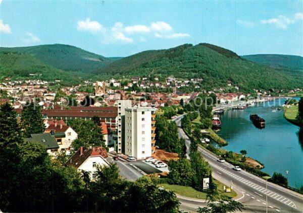 Eberbach Neckar Stadtpanorama