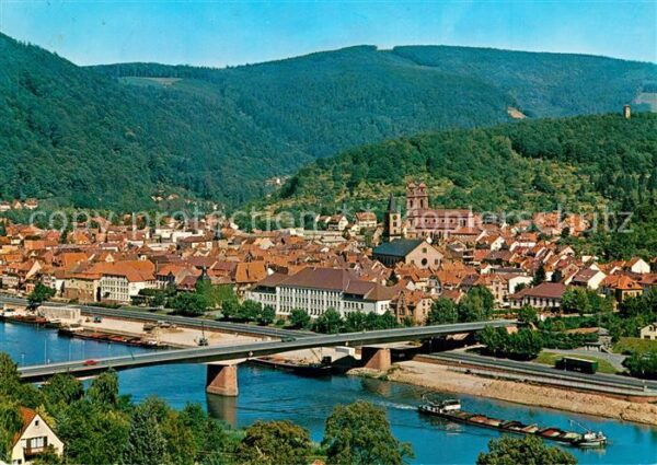 Eberbach Neckar Stadtpanorama