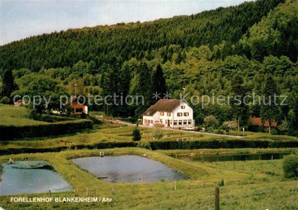 Blankenheim Ahr Forellenhof