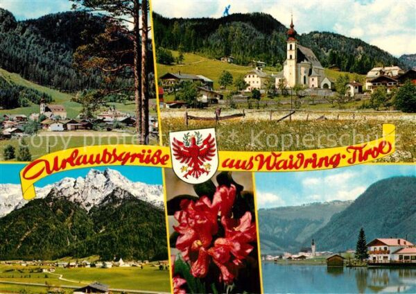 Waidring Tirol Pillsersee Alpenrosen