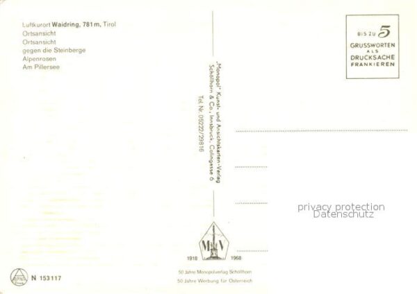 Waidring Tirol Pillsersee Alpenrosen – Bild 2