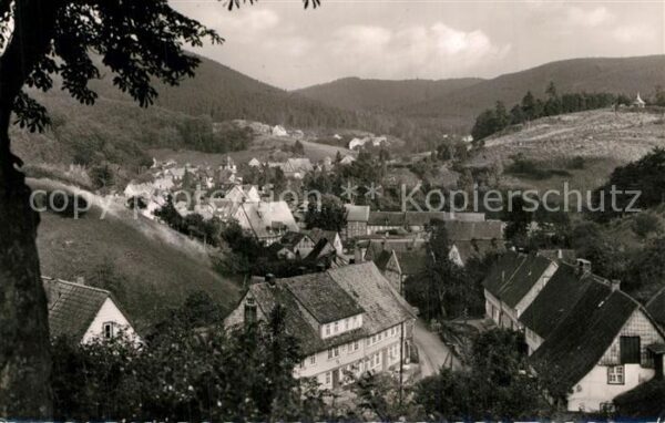 Bad Grund Panorama