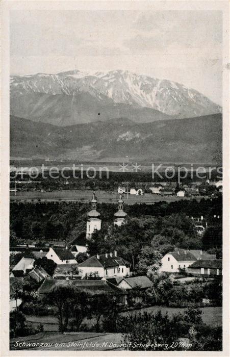 Schwarzau Steinfeld Panorama Blick zum Schneeberg