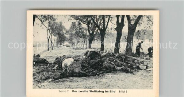 Militaria Deutschland WK2 Von N?rnberg bis Stalingrad Blitzkrieg