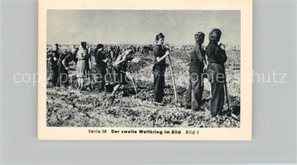 Militaria Deutschland WK2 Von Stalingrad bis N?rnberg Das letzte