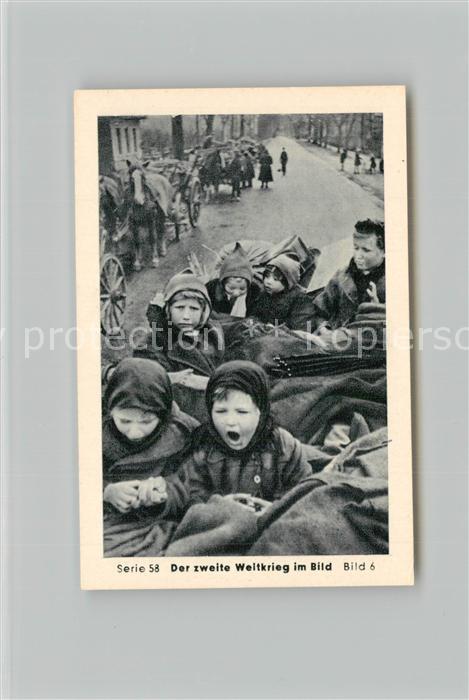 Militaria Deutschland WK2 Von Stalingrad bis N?rnberg Das letzte