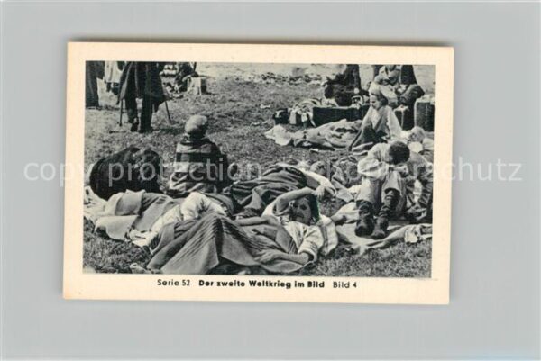 Militaria Deutschland WK2 Von Stalingrad bis N?rnberg Zerst?rung