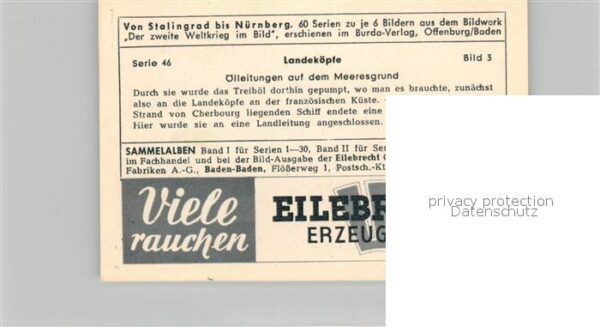Militaria Deutschland WK2 Von Stalingrad bis N?rnberg Landek?pfe – Bild 2