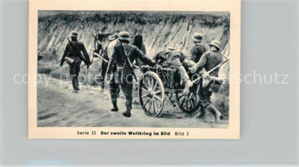 Militaria Deutschland WK2 Von Stalingrad bis N?rnberg R?ckzug auf