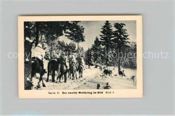 Militaria Deutschland WK2 Von Stalingrad bis N?rnberg Wende des K
