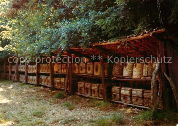 Imkerei V?lker Korb-Bienenstand Hermannsburg
