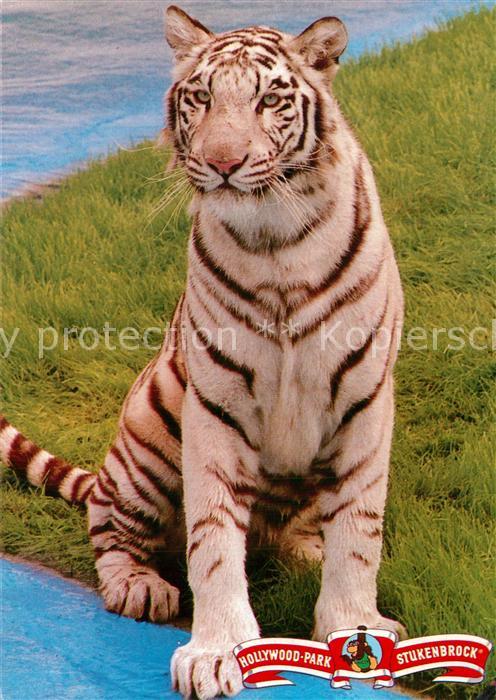 Tiger Tiere Hollywood-Park Stukenbrock