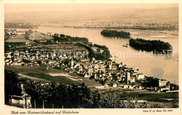 Ruedesheim Rhein Blick vom Nationaldenkmal