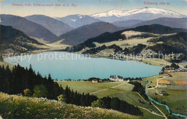 Titisee Schwarwald Panorama