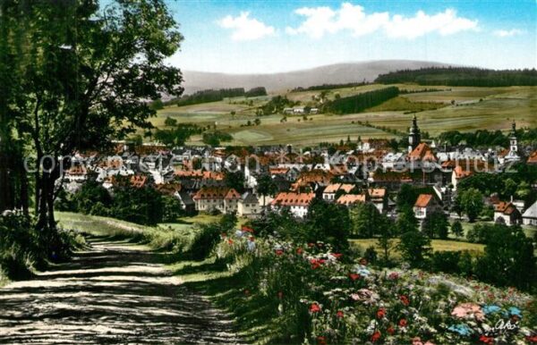 Wunsiedel Panorama