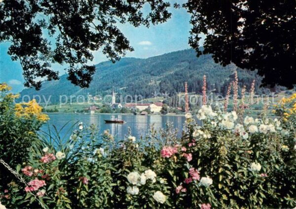 Ossiach Partie am Ossiacher See Blumen