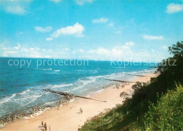 Niechorze Horst Brzeg morski Strand