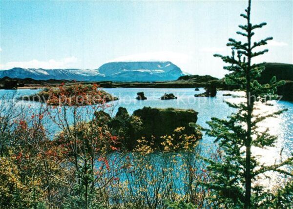 Island Iceland Myvatnsee Landschaftspanorama