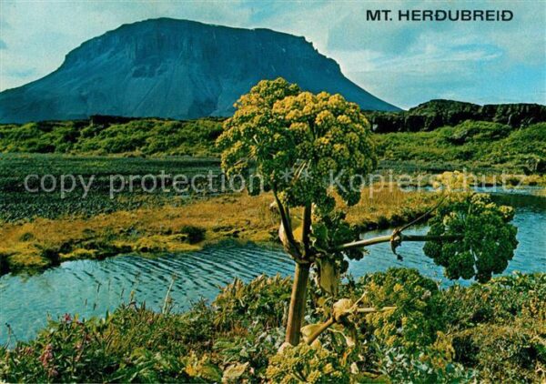 Island Iceland Mount Herdubreid Landschaftspanorama