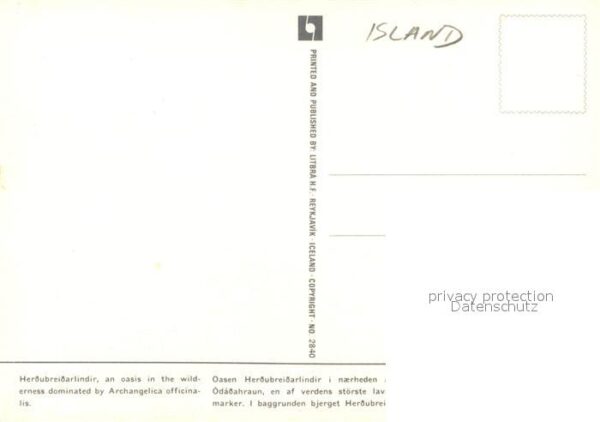Island Iceland Mount Herdubreid Landschaftspanorama – Bild 2