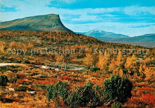 Norrland Schweden Fargernas Land Landschaftspanorama Herb