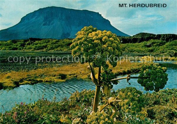 Island Iceland Mount Herdubreid Landschaftspanorama
