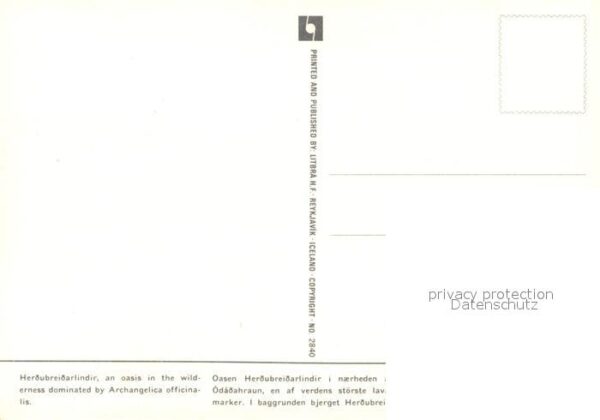 Island Iceland Mount Herdubreid Landschaftspanorama – Bild 2